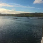 The Ferry Boat 게스트하우스 포트마지