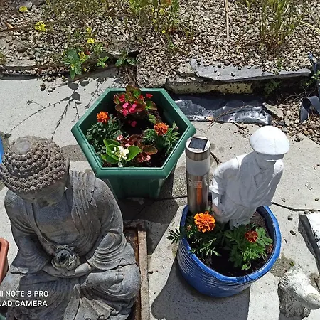 The Ferry Boat Guest house