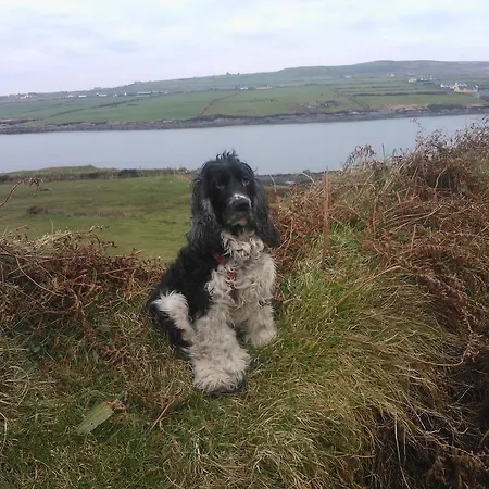 בית הארחה The Ferry Boat 3*