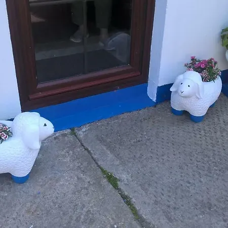 The Ferry Boat בית הארחה 3*