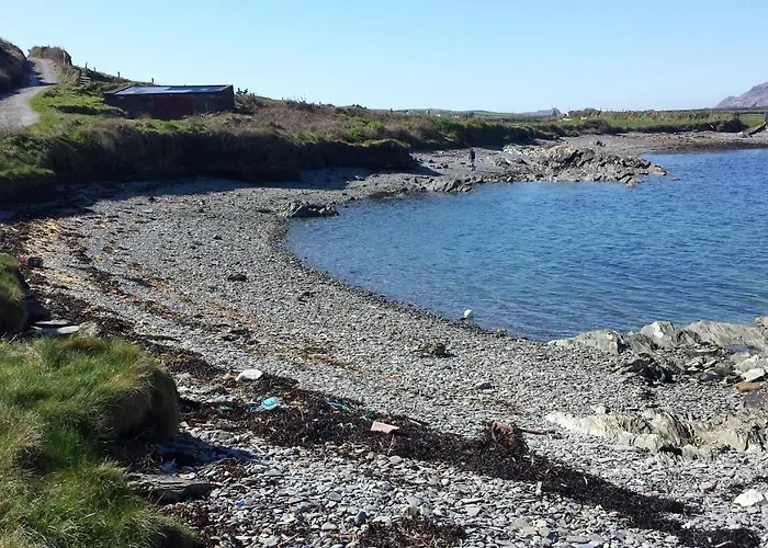 ザ フェリー ボート ゲストハウス