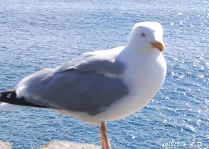 ザ フェリー ボート ゲストハウス