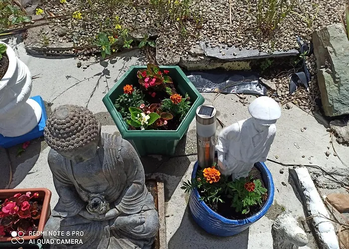 ザ フェリー ボート ゲストハウス