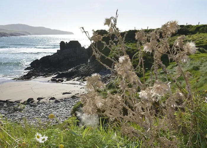 ザ フェリー ボート