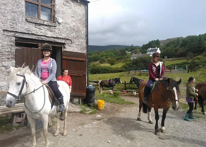 ザ フェリー ボート 3* ポートマギー