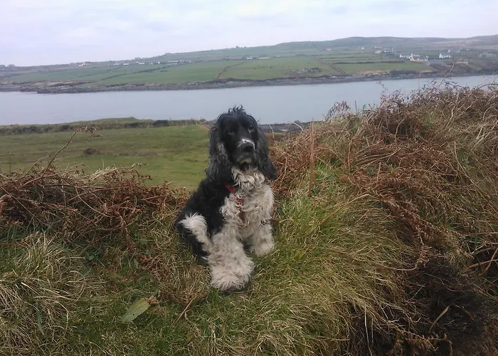 Maison d'hôtes The Ferry Boat 3*