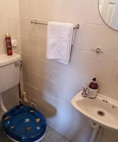 The Ferry Boat Guest house 3*