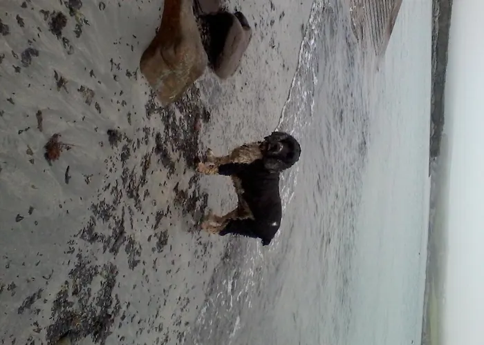 Guest house The Ferry Boat